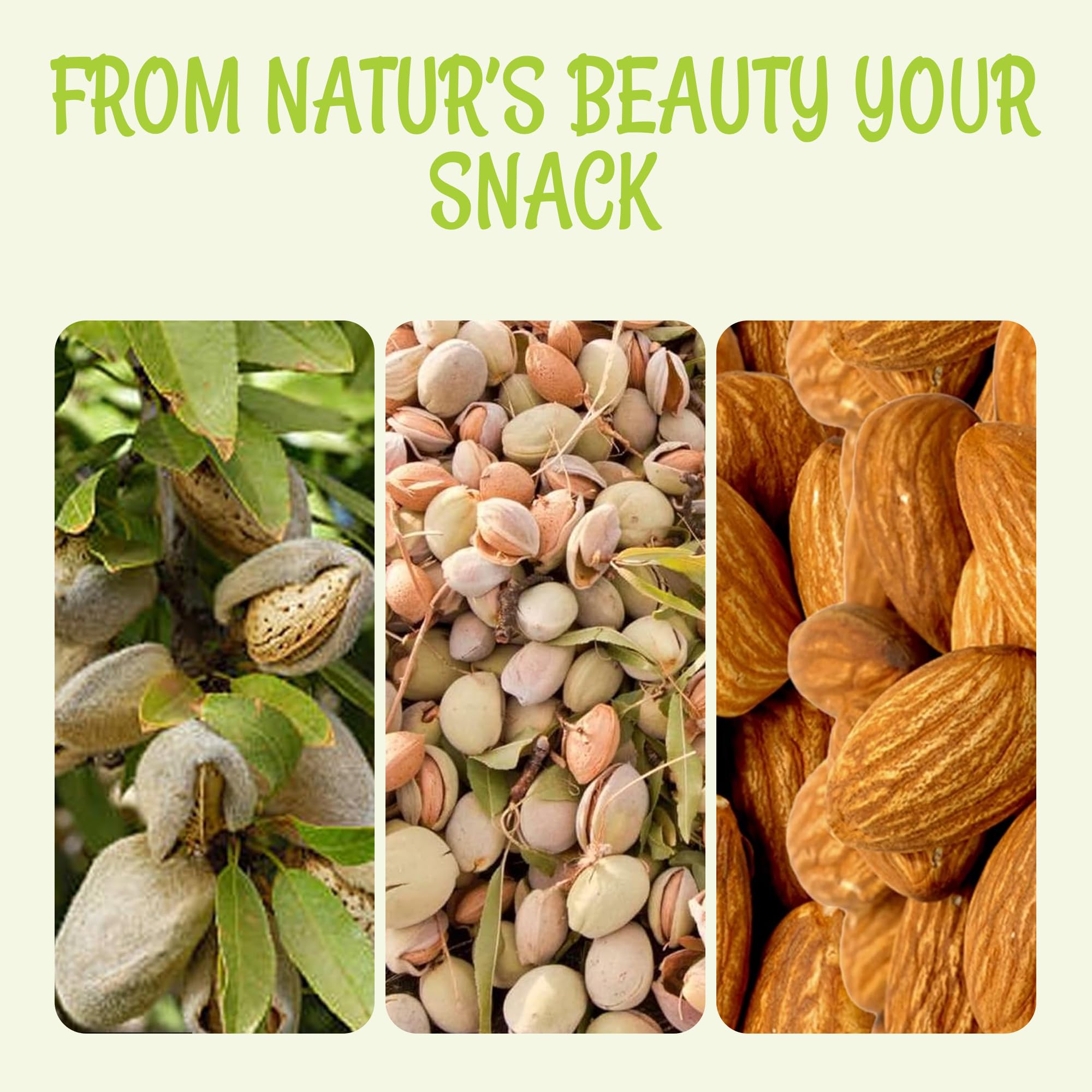 Oh! Nuts Almonds - Dry Roasted Unsalted Almonds - 2 lb - No Salt, No Oil All-Natural Protein - Packed in New York Zip-Seal Bag for Exceptional Freshness - Image 6