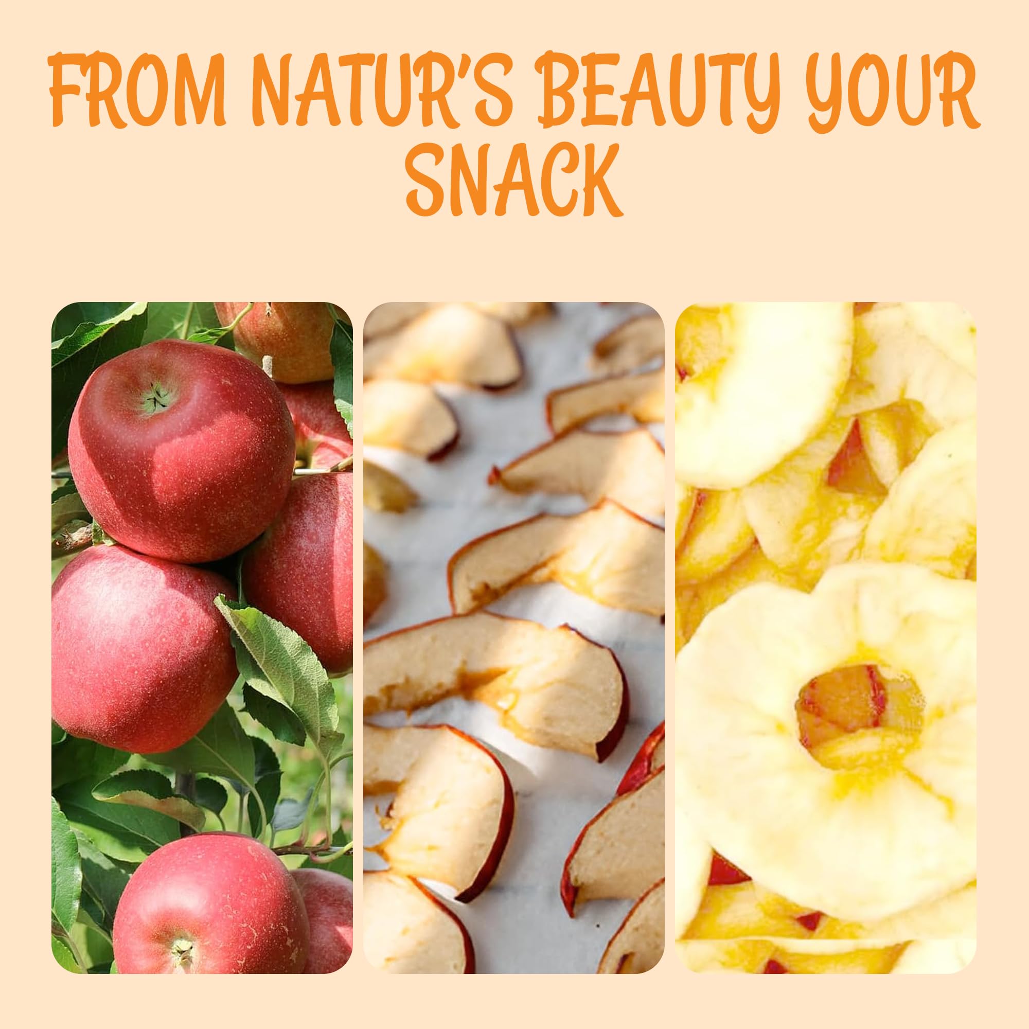 Oh! Nuts Dried Apple Rings - Apple Slices - 26 oz - Dried Apples - No Sugar Added - Dehydrated Fruit Bites - Image 6