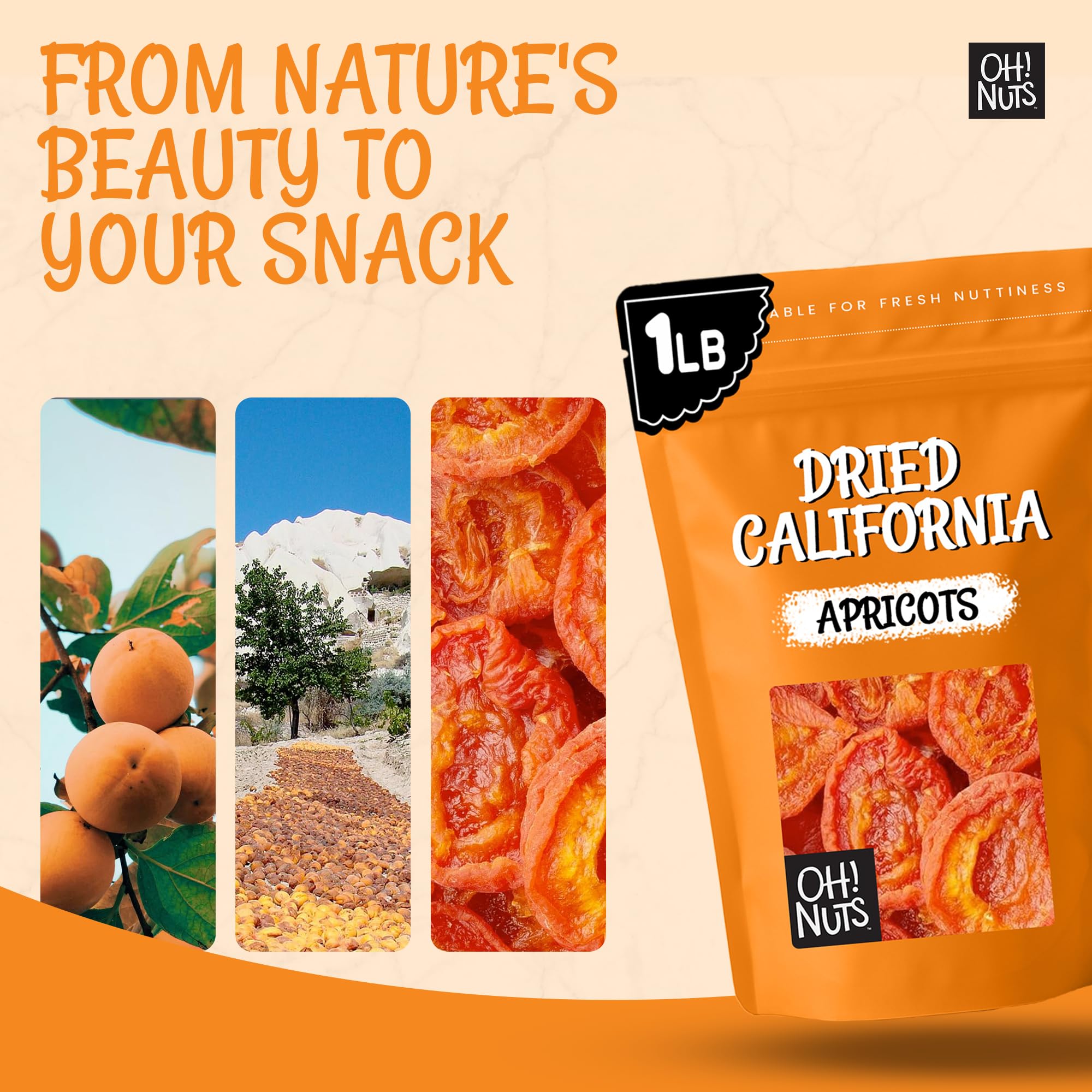 Oh! Nuts Dried Apricots California – 1 lb – No Sugar Added – Packed in New York Zip-Seal Bag to Preserve Natural Freshness and Quality - Image 6