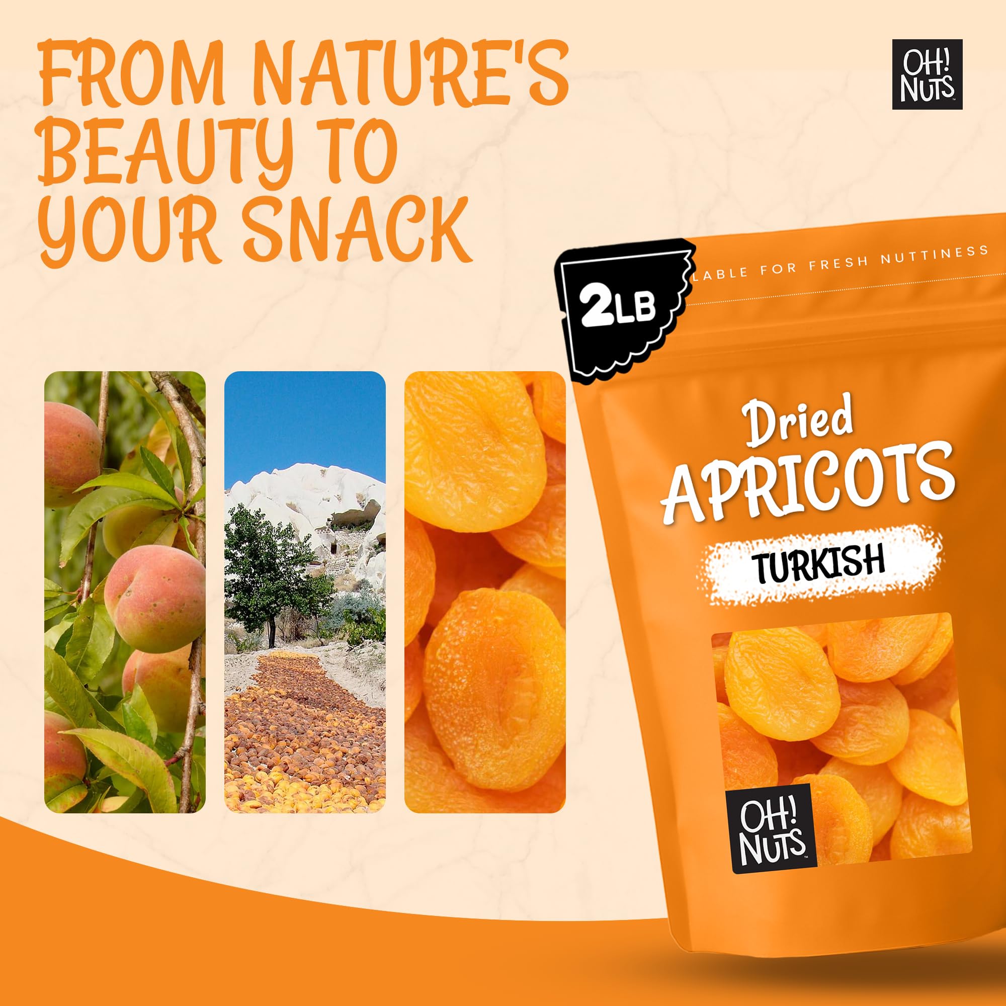 Oh! Nuts Dried Apricots Turkish - 2 lb - Dried Fruit - No Sugar Added - Dehydrated Fruit Bites - Packed in New York Zip-Seal Bag for Exceptional Freshness - Image 5