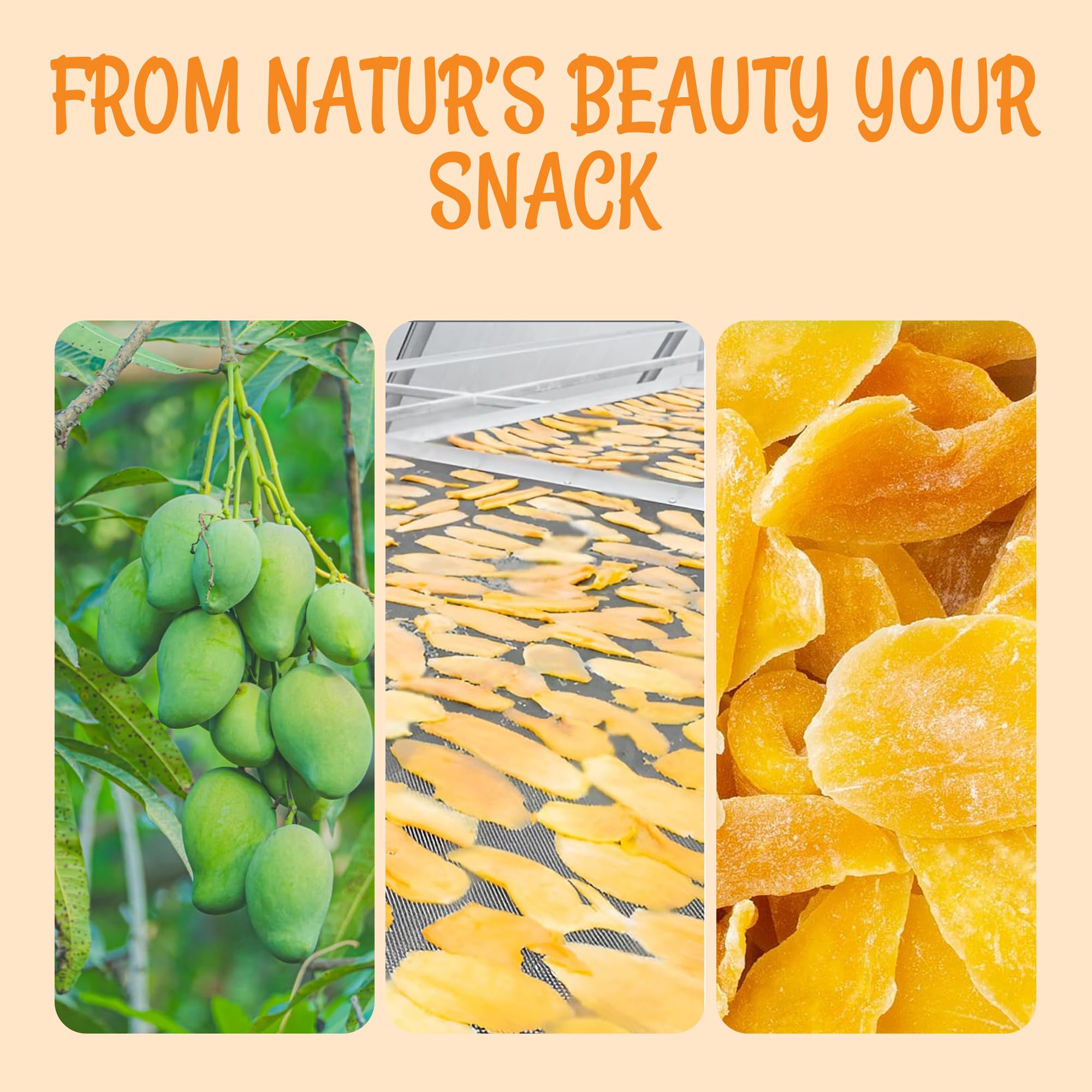 Oh! Nuts Dried Mango - 1 lb - Dried Fruit Slices - Less Sugar Added - Dehydrated Fruit Bites - Packed in New York Zip-Seal Bag for Exceptional Freshness - Image 6