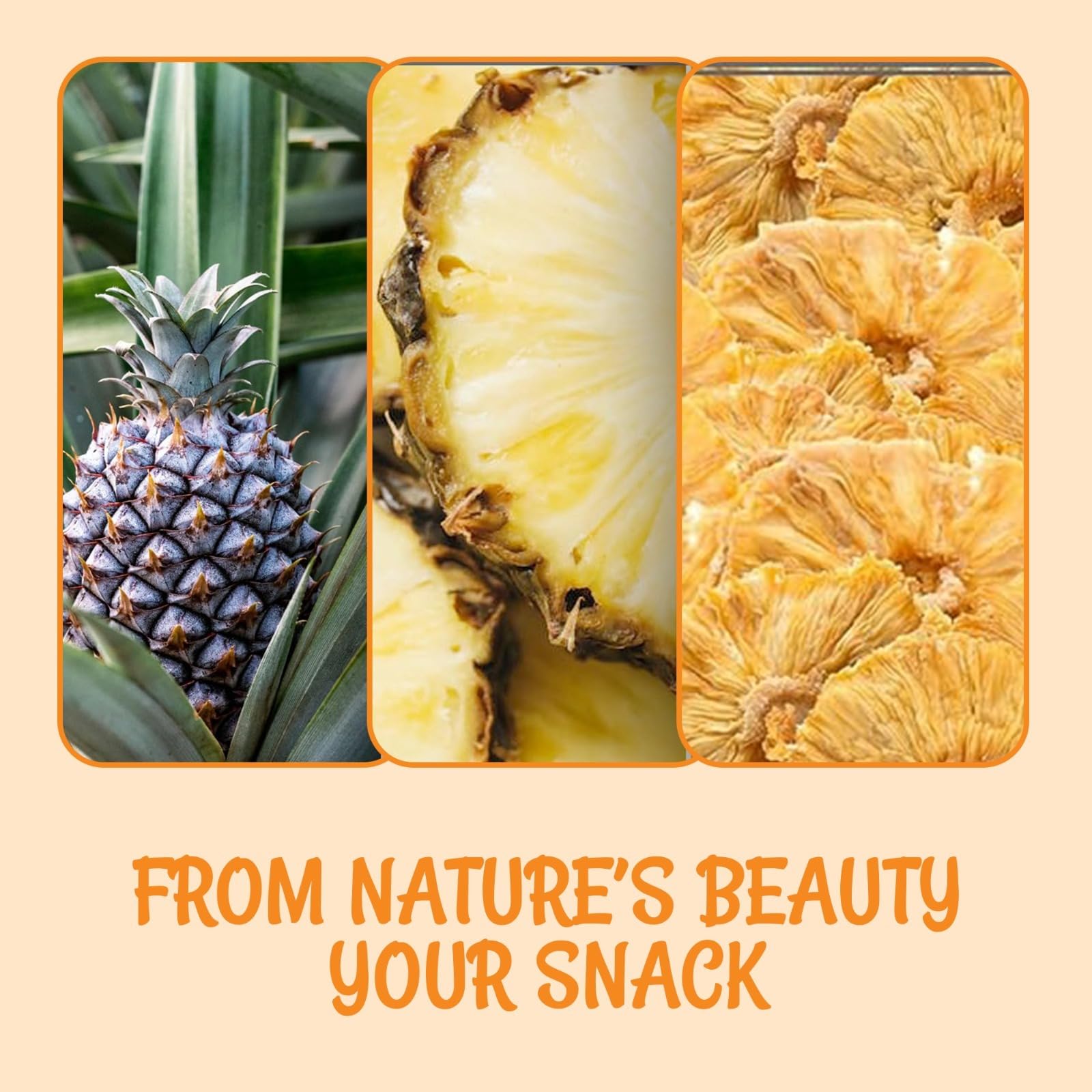 Oh! Nuts Dried Pineapple Natural - 1 LB - Dried Fruit Rings - Organic Unsweetened - Dehydrated Fruit Bites - Packed in New York Zip-Seal Bag for Exceptional Freshness - Image 6