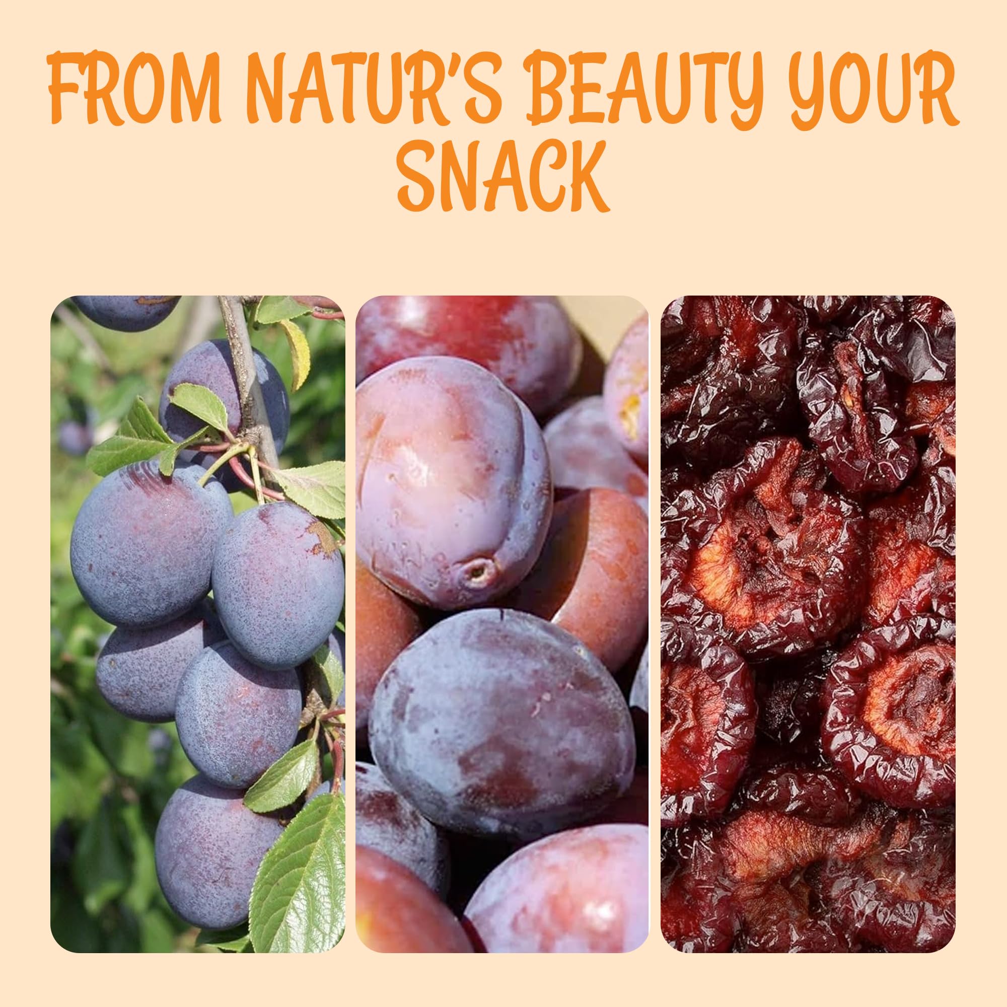 Oh! Nuts Dried Prunes Pitted - 1.5 lb - California Sun Dried Angelino Red Plums - No Sugar Added - Dehydrated Fruit Bites - Packed in New York Zip-Seal Bag for Exceptional Freshness - Image 6