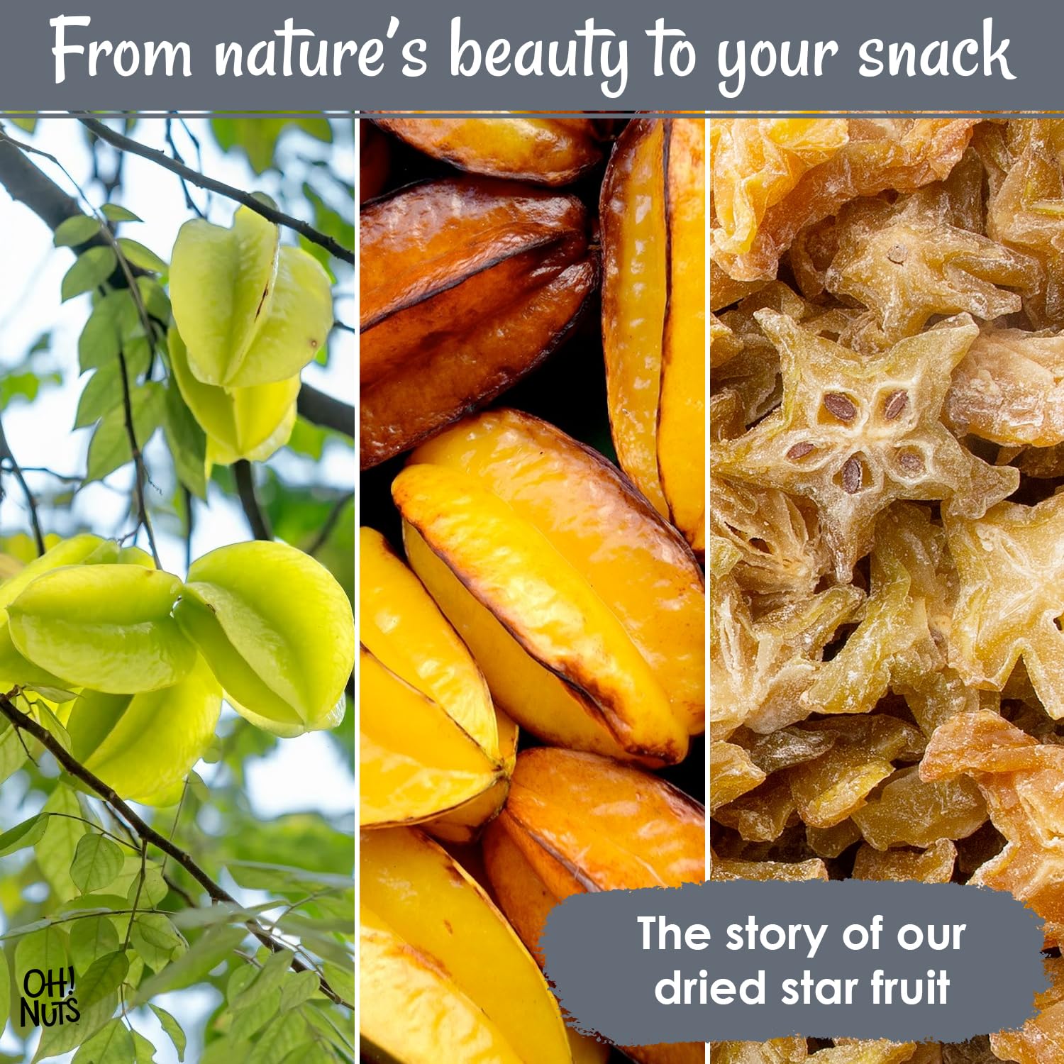 Oh! Nuts Dried Star Fruit - Sweetened Dried Starfruit Slices - 1 lb Star Fruit Packed Fresh in NY Zip-Seal Bag - Image 4