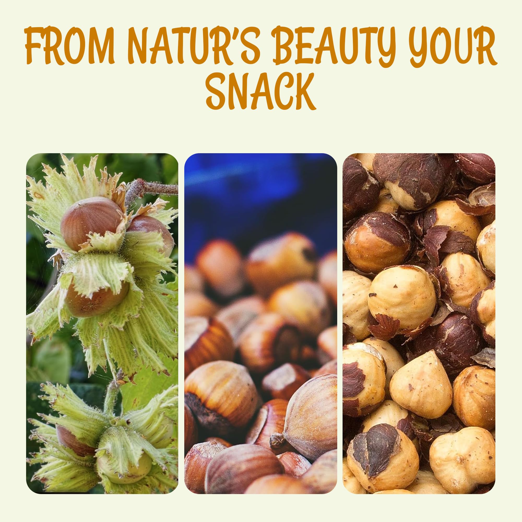 Oh! Nuts Hazelnuts (Filberts) - Dry Roasted Salted - 2 lb - Healthy Whole Crunchy Skinned Cobnuts Snack - Packed in New York Zip-Seal Bag for Exceptional Freshness - Image 6