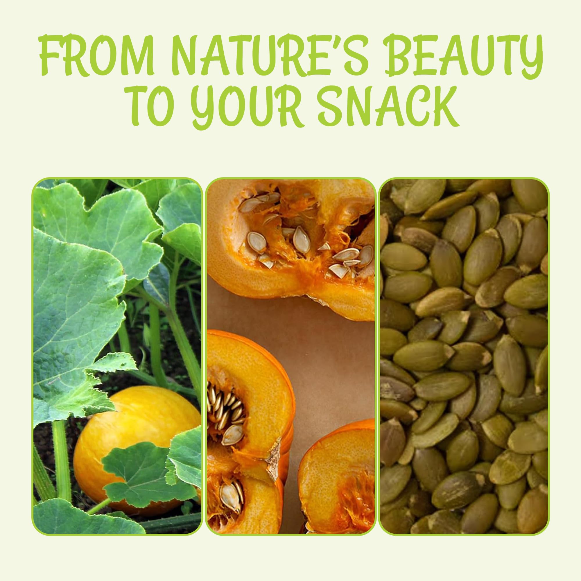 Oh! Nuts Pepitas Raw Unsalted Pumpkin Seeds - All-Natural Protein Power - Fresh, Healthy Keto Snacks - Resealable 2 Pound Bulk Bag - Unshelled Pepitas - Vegan & Gluten-Free Snacking - Image 6