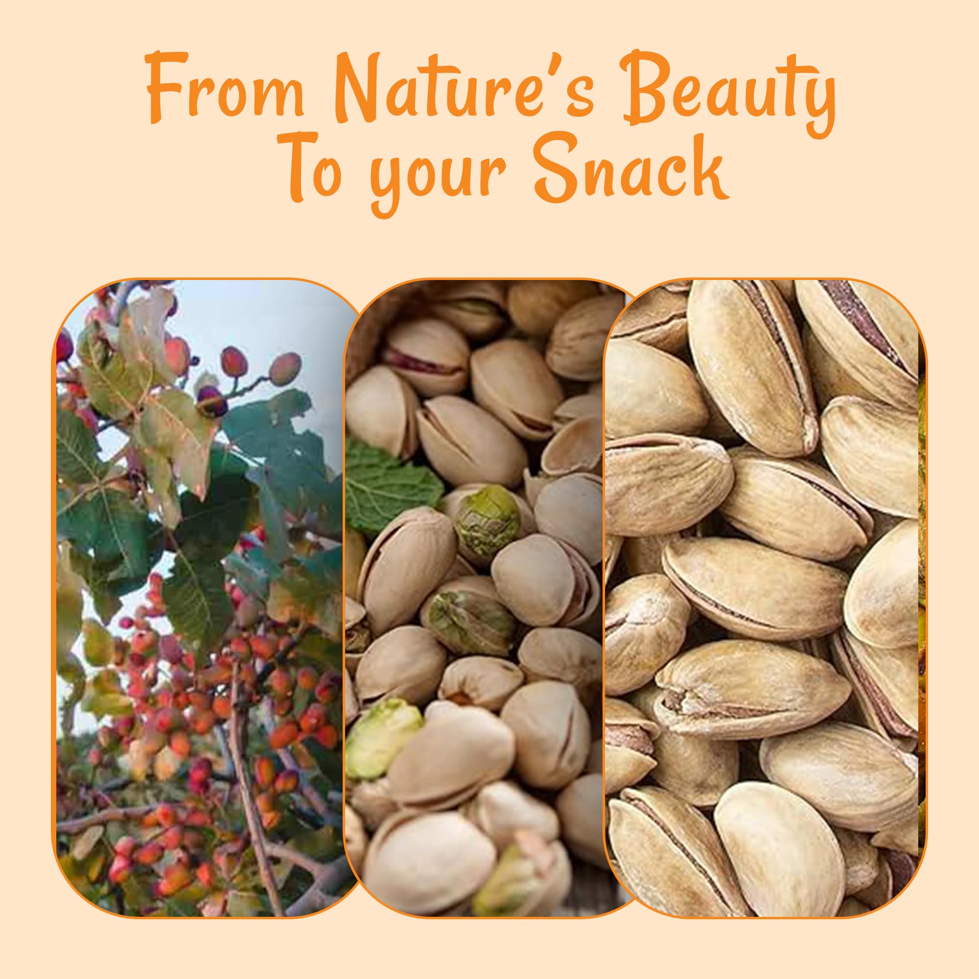 Oh! Nuts Pistachios - Roasted & Lightly Salted - 1 lb - Turkish Antep Pistachios In Shell - Packed in New York Zip-Seal Bag for Exceptional Freshness - Image 6