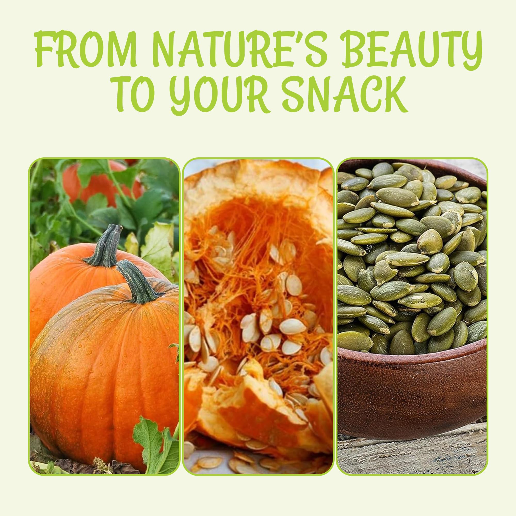 Oh! Nuts Pumpkin Seed Roasted & Salted - 5 lb Bulk Bag - No Shell Pumpkin Seeds - Roasted Seeds - Pepitas Snack Packed Fresh - Image 6