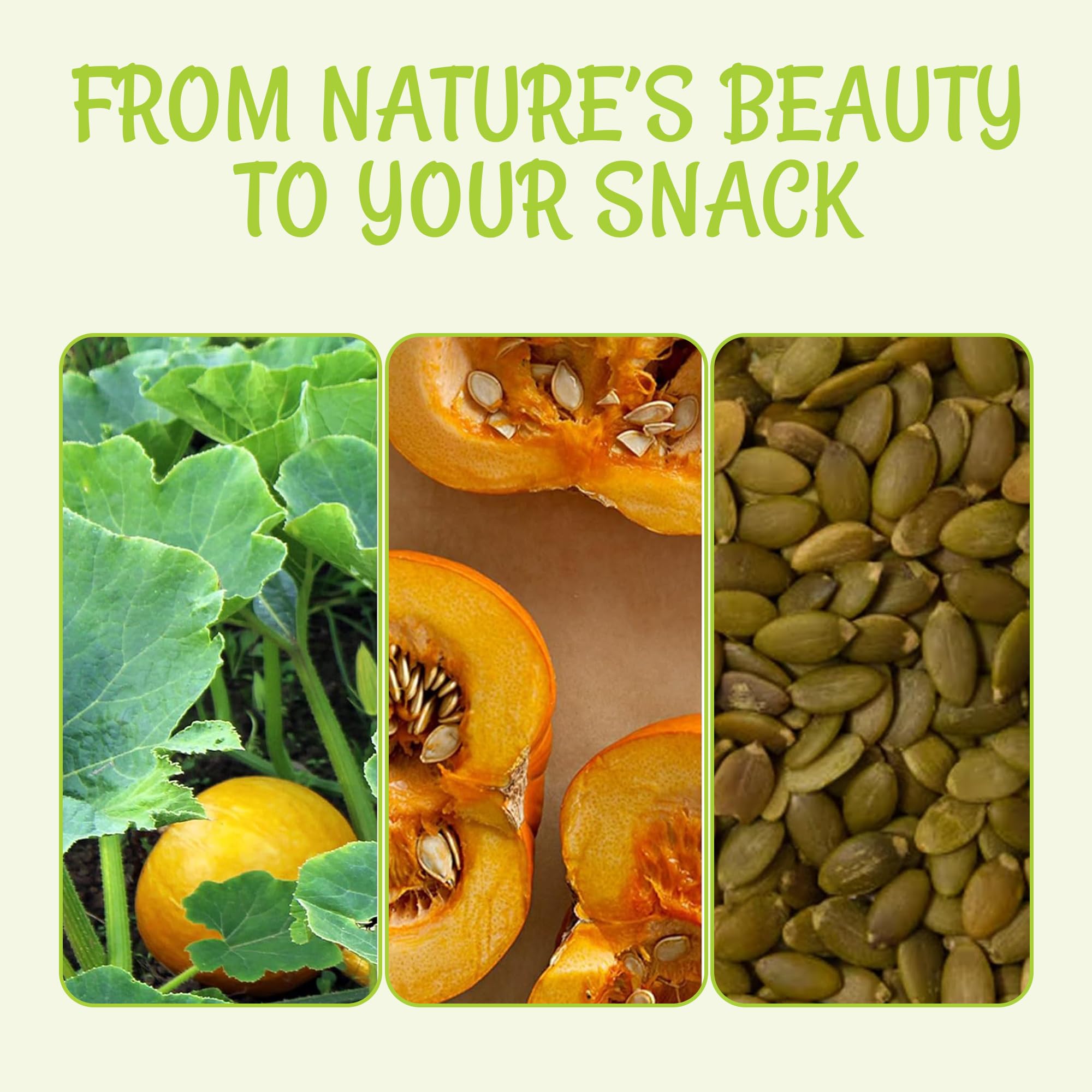 Oh! Nuts Pumpkin Seeds - Roasted Unsalted - 2 lb - No Shell Pepitas - Packed in New York Zip-Seal Bag for Exceptional Freshness - Image 4